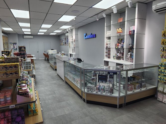 Pokemon trading card store in Brooklyn Lumius Inc Brooklyn New York