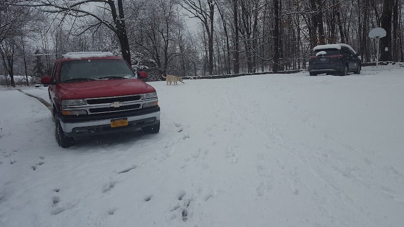 Pokemon trading card store in Chatham Roraback Garden Market Chatham New York