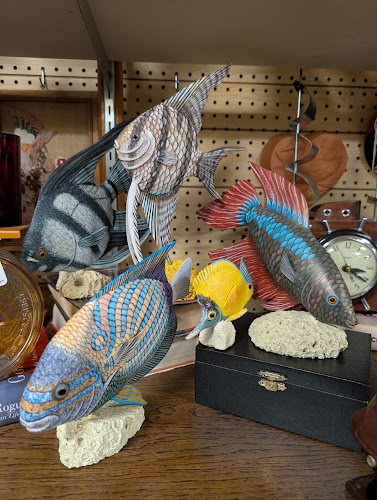 Pokemon trading card store in Fredericksburg Mike's Sports Cards