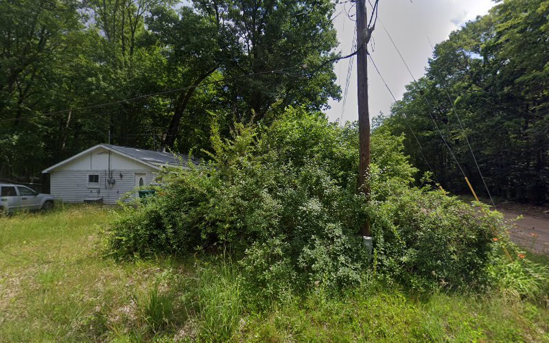 Pokemon trading card store in Harrison kdscards & colletibles Harrison Michigan